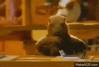 "Marmotte met le chocolat dans le papier d'alu" pub