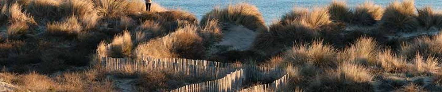 Plage du petit Travers, La Grande Motte - Montpellier