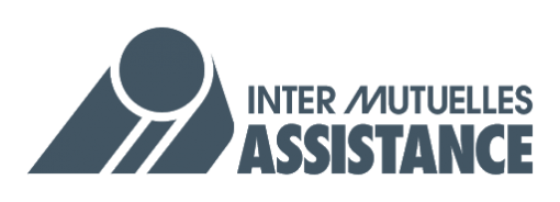 logo IMA gris