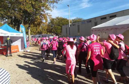 Marche-rose-territoire-Grand-Est
