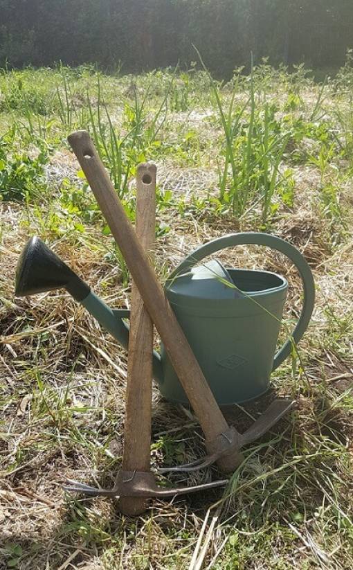 Arrosoir et outils de jardinage - association Mat Drôme