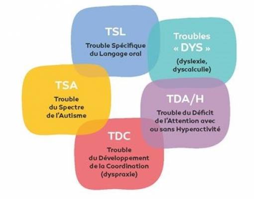 TSA parmi les 5 autres troubles du développement - schéma coloré