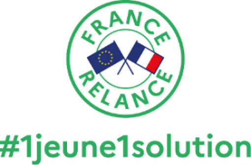 logo drapeau France #1jeune1solution