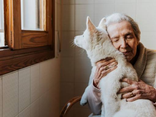 Personne âgée avec un chien