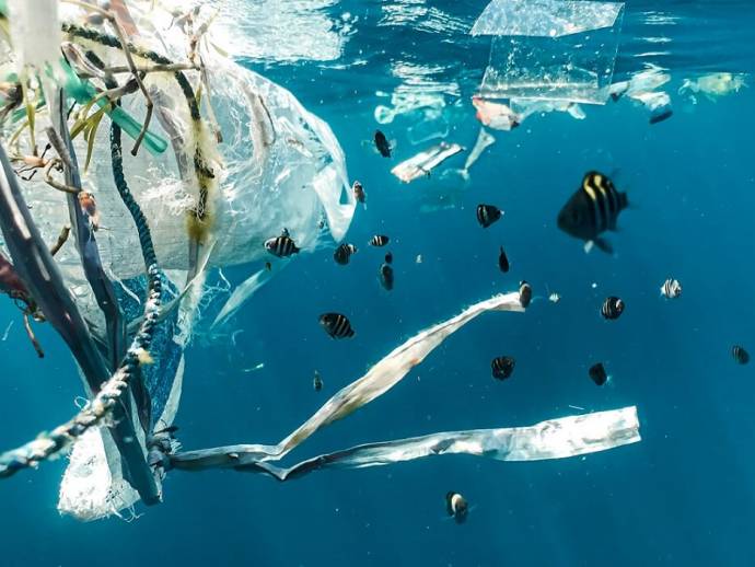 Sacs plastiques qui flottent dans l'eau à côté de poissons - Indonésie