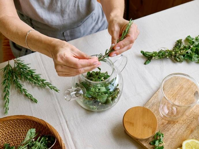 La phytothérapie pour les seniors : quelles plantes pour bien vieillir naturellement ?