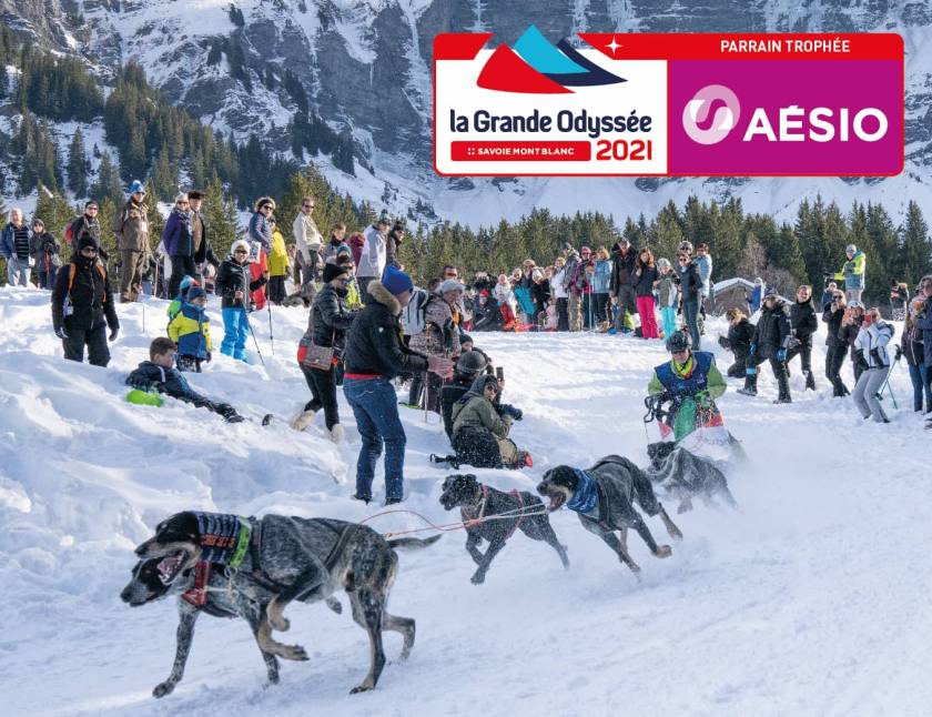 Chiens de traineaux qui courent, foule sur la neige