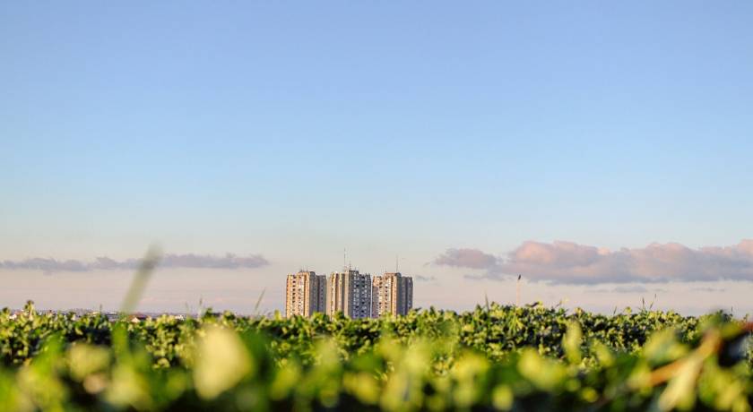 Immeubles au loin, champs verts au premier plan