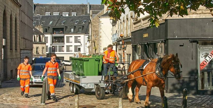 Homme avec chariot de ramassage d'ordures, tracté par un cheval