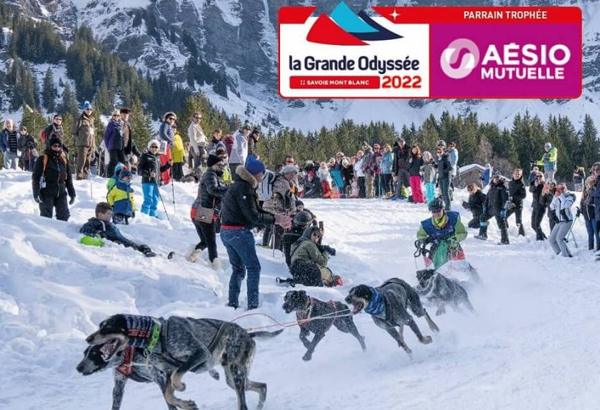 Chiens de traineaux qui courent, foule sur la neige