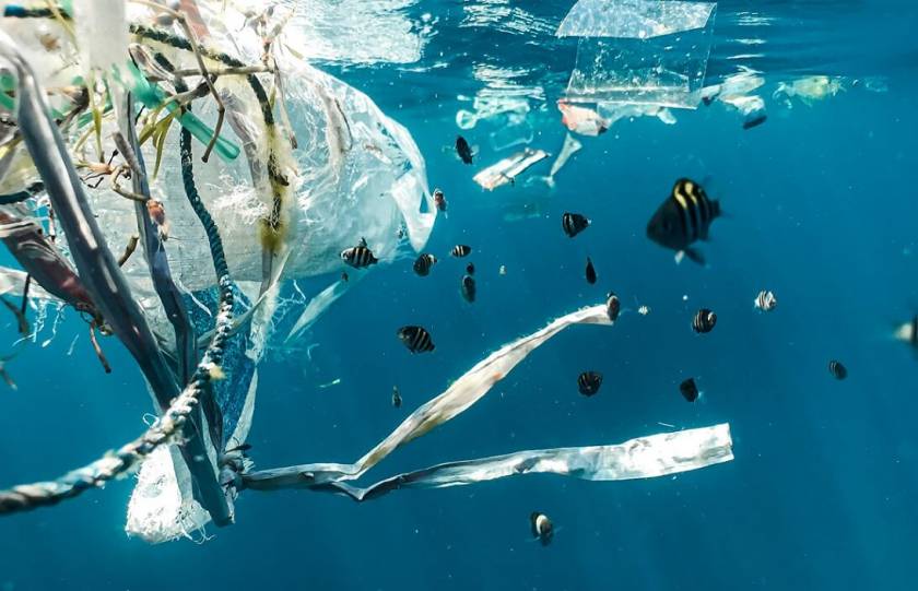 Sacs plastiques qui flottent dans l'eau à côté de poissons - Indonésie