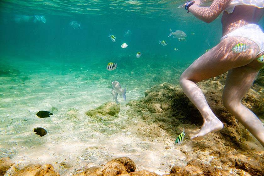 Vacances à la mer: prudence, les méduses sont au rendez-vous!