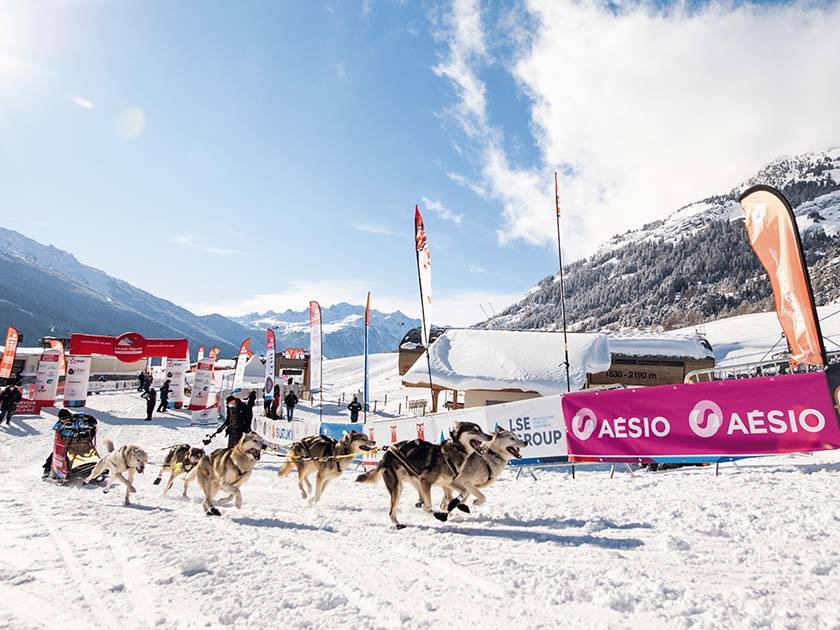 Course de traîneau La Grande Odyssée