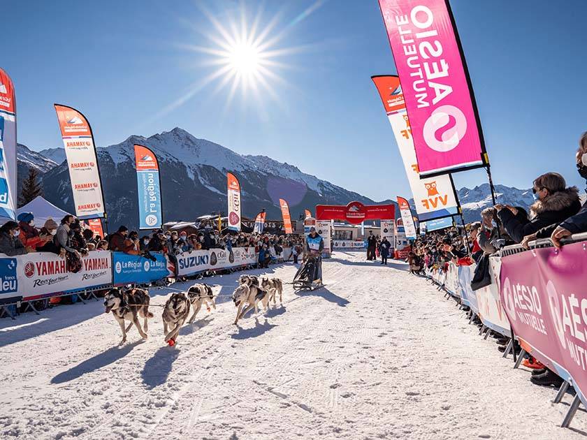 course chiens de traineaux avec Aésio