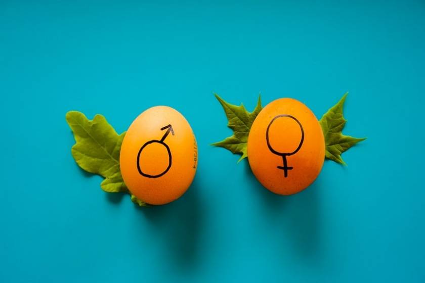Deux oeufs avec un dessin du genre masculin et du genre féminin