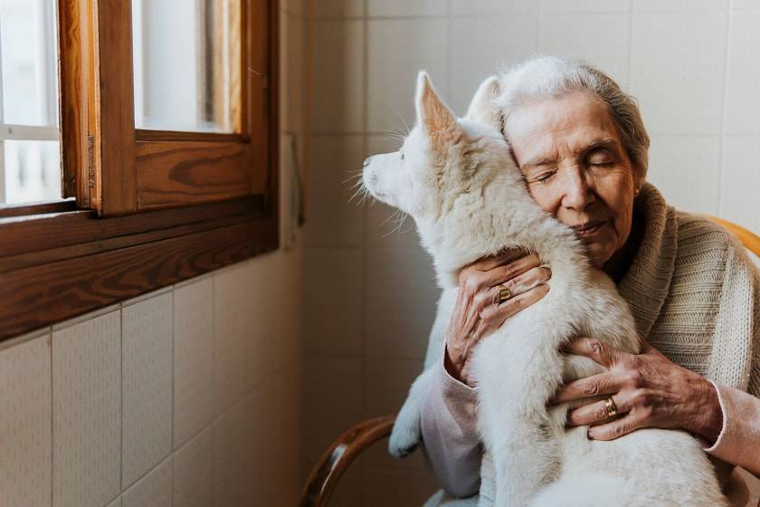 Personne âgée avec un chien