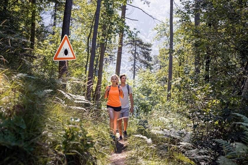 Couple dans une forêt