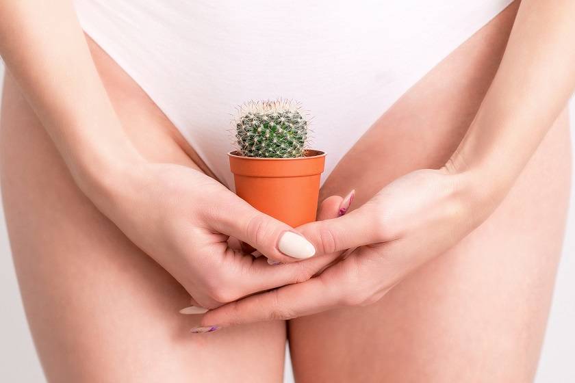 Femme qui tient un cactus devant ses parties intimes