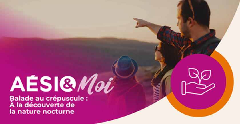 balade au crépuscule