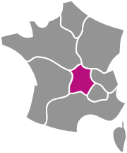 Départements Auvergne, Loire en rose, carte de France grise