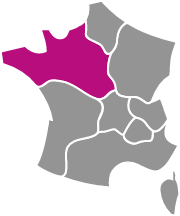 Départements Centre-Ouest, Île-de-France, DROM COM, Étranger en rose, carte de France grise