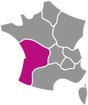 Département Nouvelle Aquitaine en rose, carte de France grise